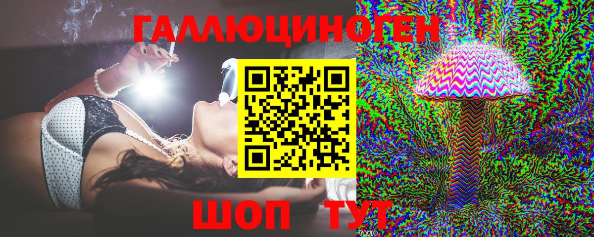 Псилоцибиновые грибы Psilocybe Павлово