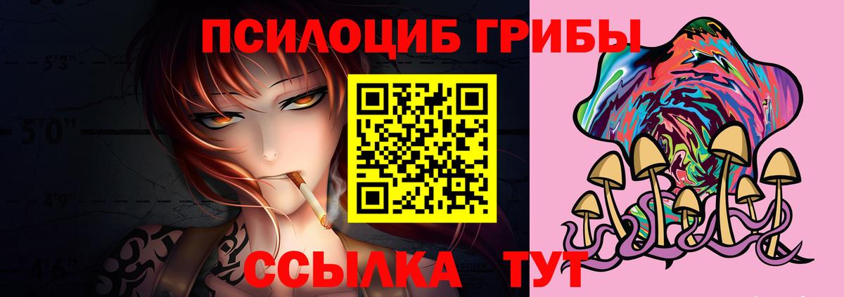 Павлово  магазин    Вход с VPN  Галлюциногенные грибы мухоморы 